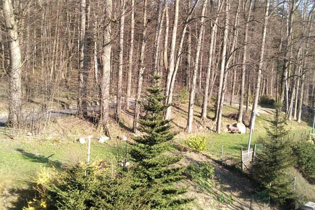 Nowoczesne Mieszkanie Blisko Natury I Sklepu Biedronka Karpacz Exterior foto